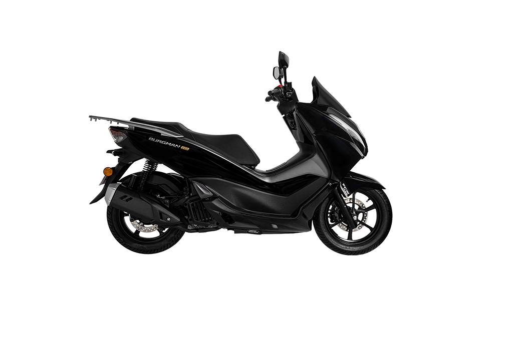 Burgman 15
